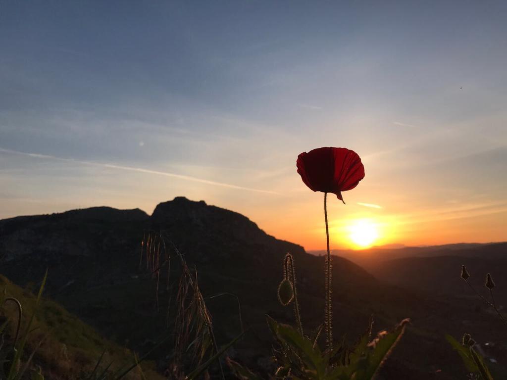 SantʼAngelo Muxaro Agriturismo Tenuta San Giovanni Casale Leto מראה חיצוני תמונה