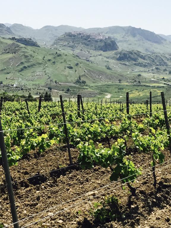 SantʼAngelo Muxaro Agriturismo Tenuta San Giovanni Casale Leto מראה חיצוני תמונה