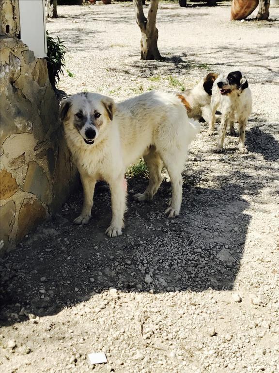 SantʼAngelo Muxaro Agriturismo Tenuta San Giovanni Casale Leto מראה חיצוני תמונה